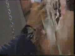 Champagner in Fotze (4)