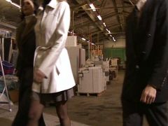 schwänze testen (0)