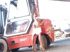 sexgirl masturbiert am auto (8)